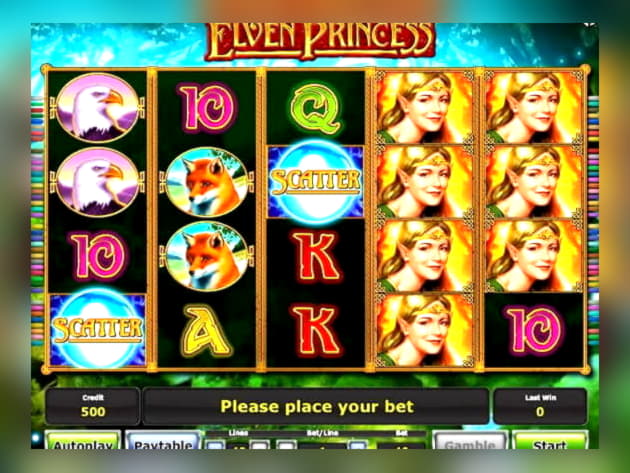 $885 Daily freeroll slot tournament at Wild Slots Casino