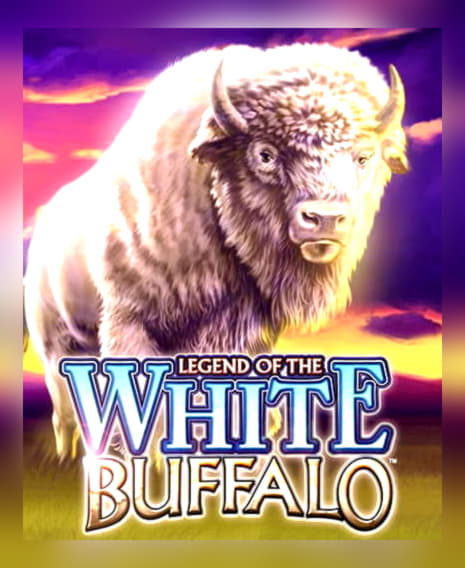 $530 Daily freeroll slot tournament at William Hill Casino