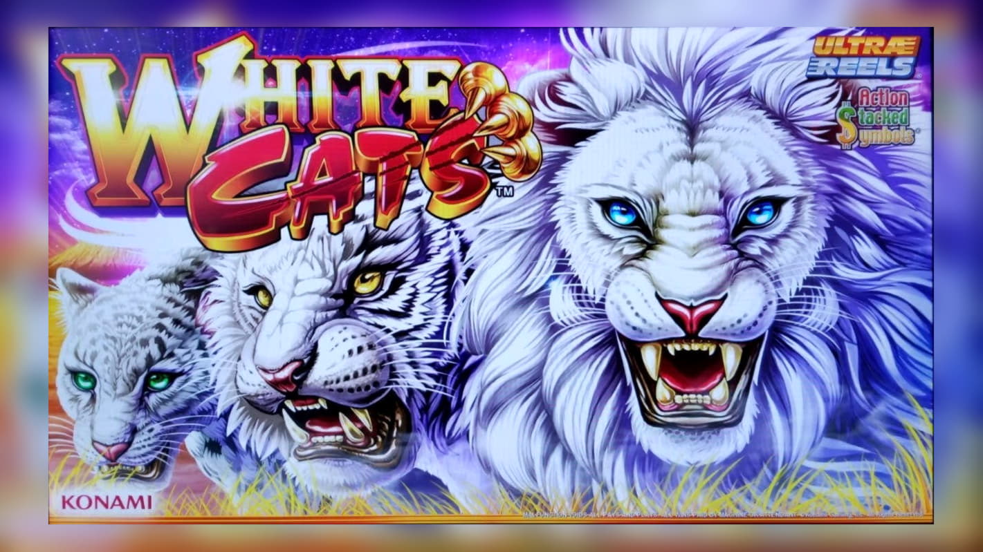 520% Signup casino bonus at Slots Angel Casino