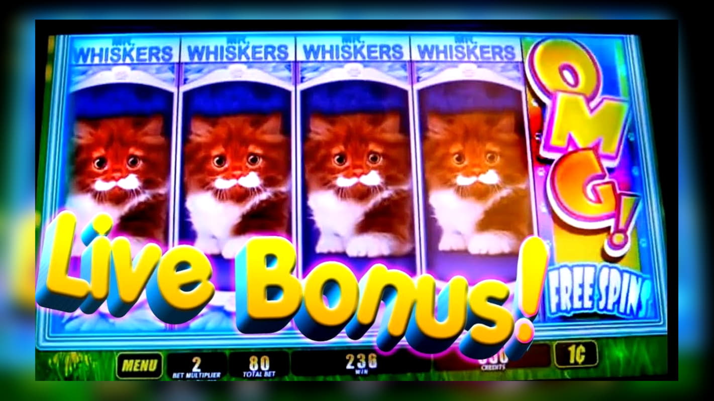 120 free spins at Party Casino