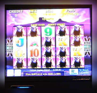 235 Free Spins no deposit casino at Rizk Casino