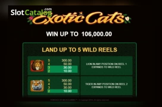 35 Free Spins at BGO Casino