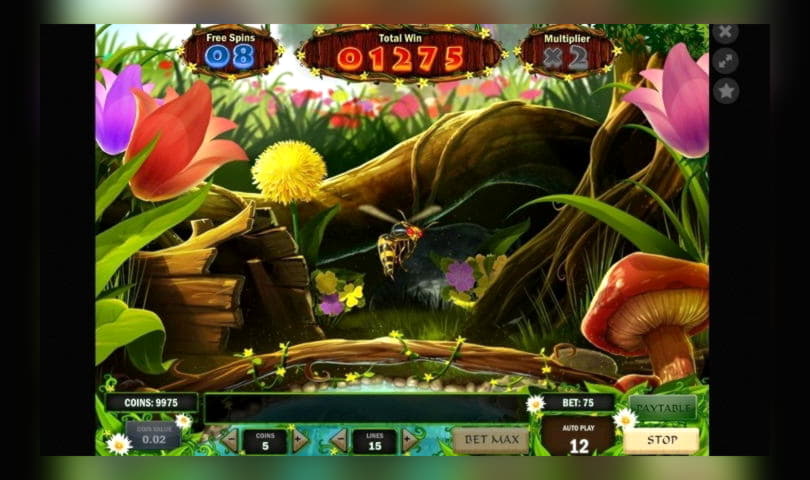 395% No Rules Bonus! at Dunder Casino