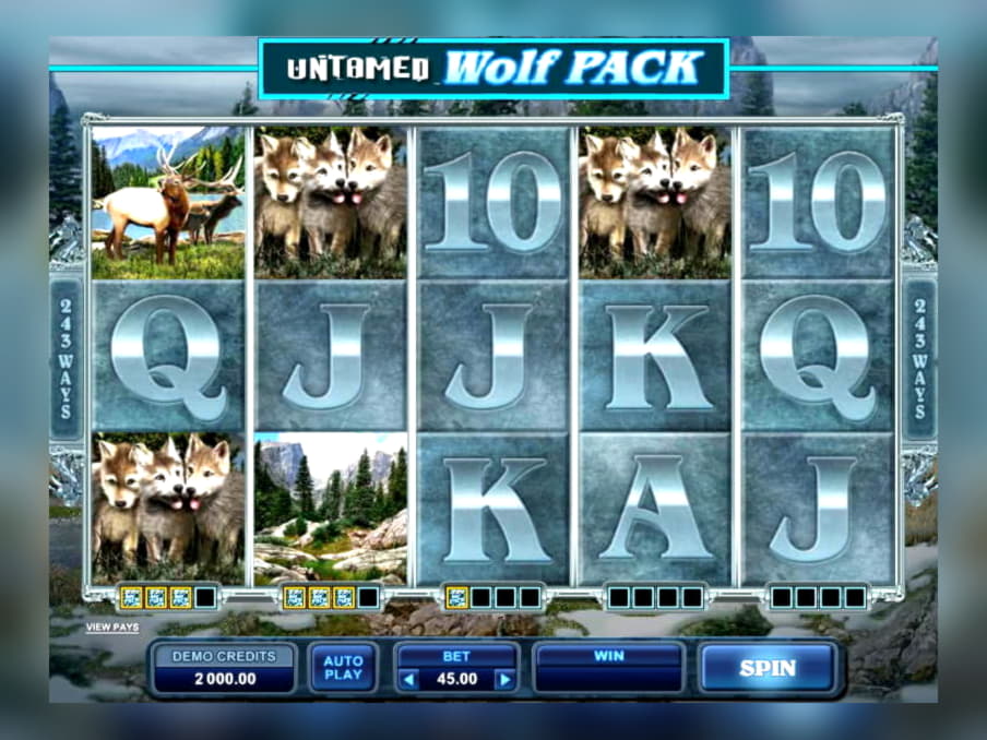 990% No Rules Bonus! at Sloty Casino
