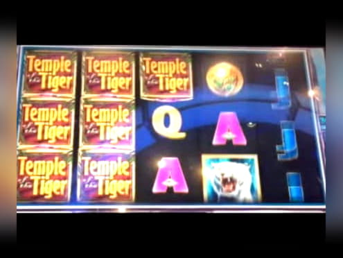 77 free spins no deposit casino at Dunder Casino