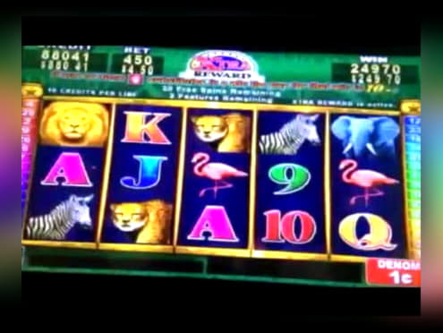 115 Free spins casino at Rizk Casino