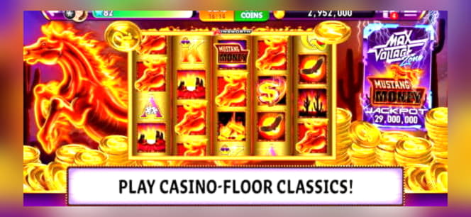 €295 free chip at Rizk Casino
