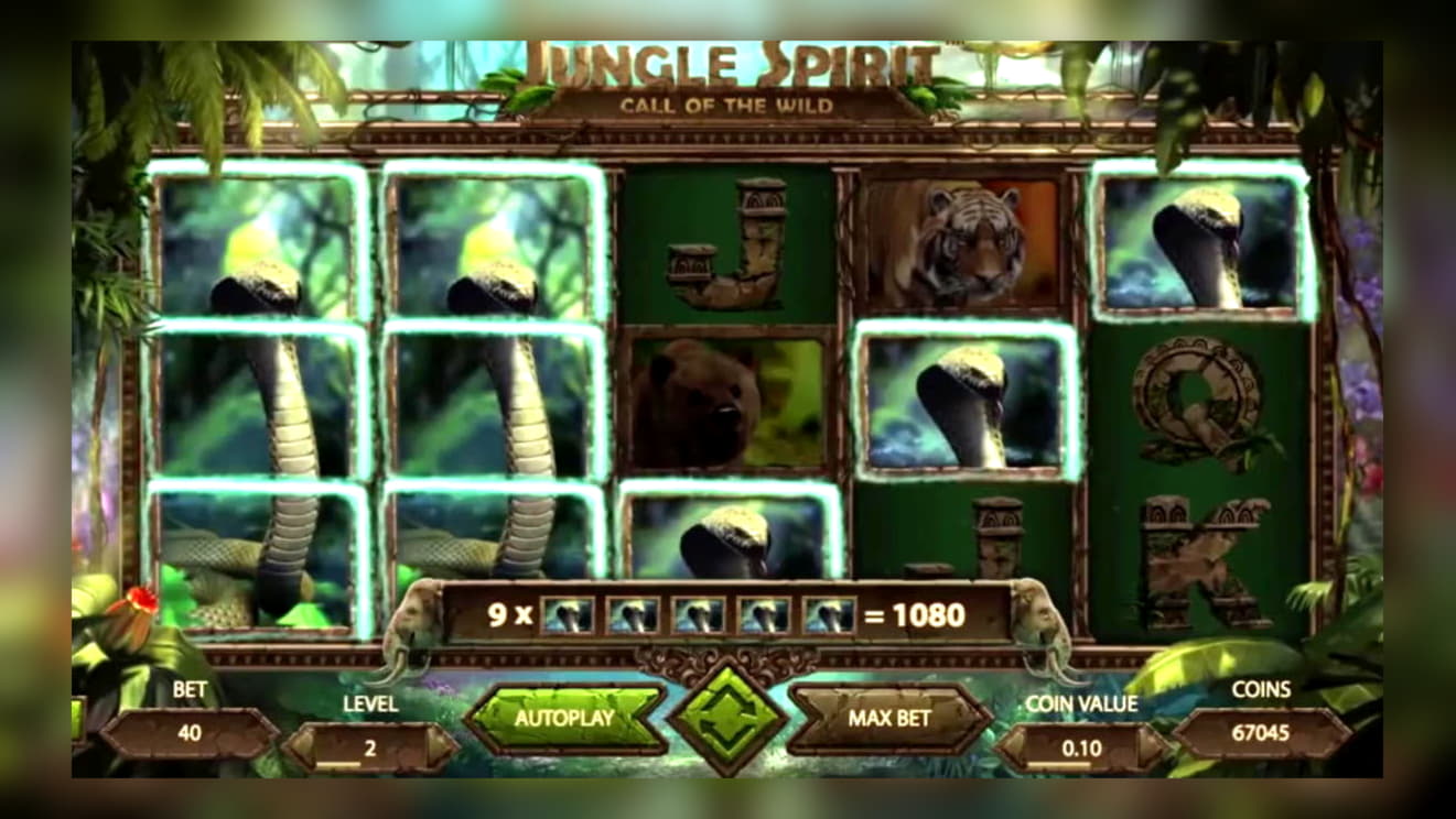 $3620 No deposit bonus casino at Wild Slots Casino