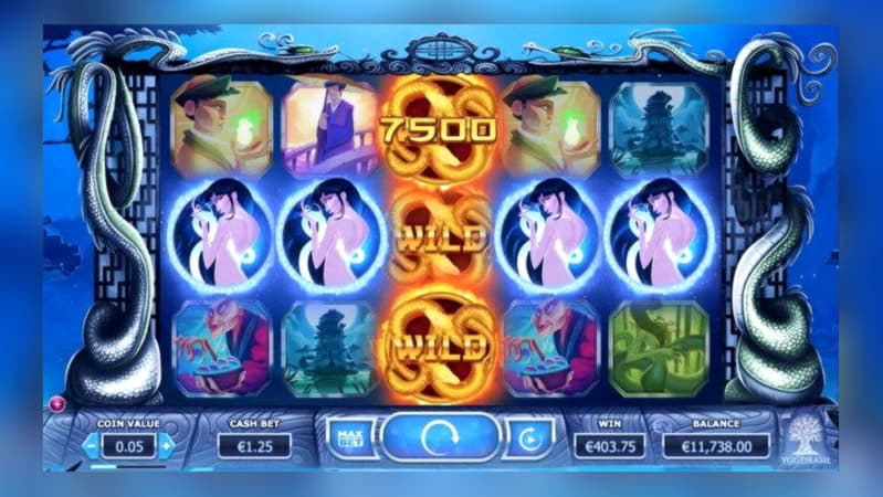 Eur 255 Casino Chip at Rizk Casino
