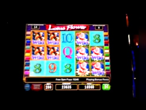 Eur 95 Daily freeroll slot tournament at bWin Casino