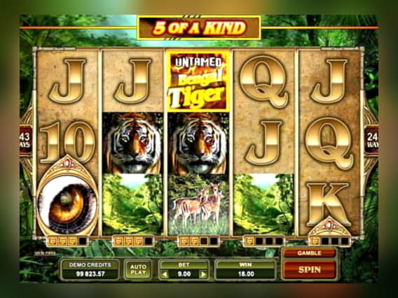 260% Signup Casino Bonus at Leo Dubai Casino
