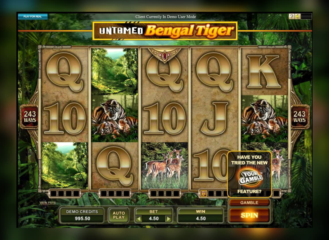 220 FREE Spins at Casino Luck