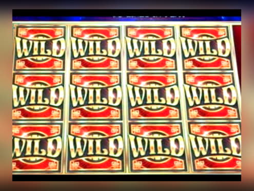 570% Best Signup Bonus Casino at Holland Online Casino