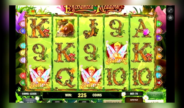 935% Match bonus at Rizk Casino