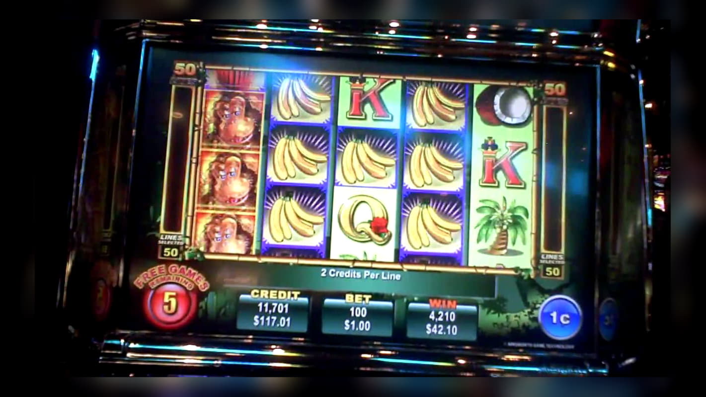 $435 free chip casino at Red Ping Win Casino