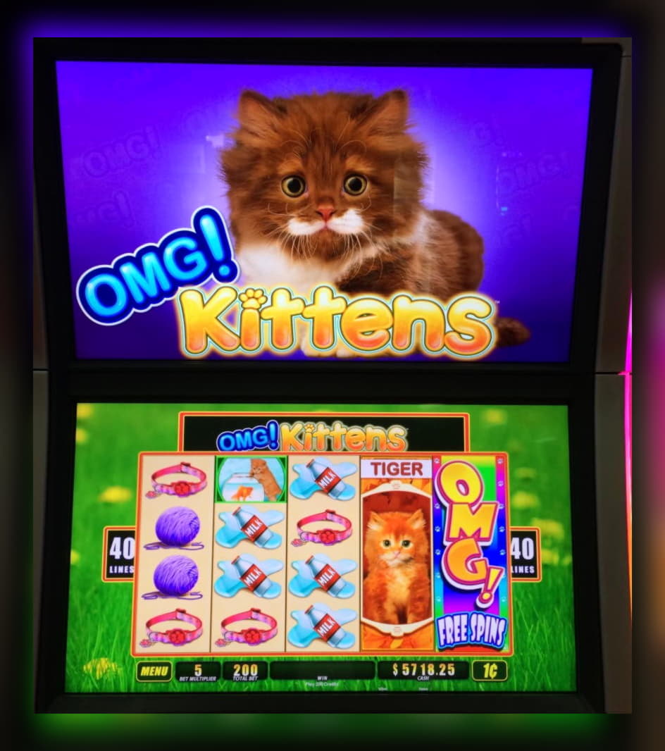 185 Free casino spins at Casino com