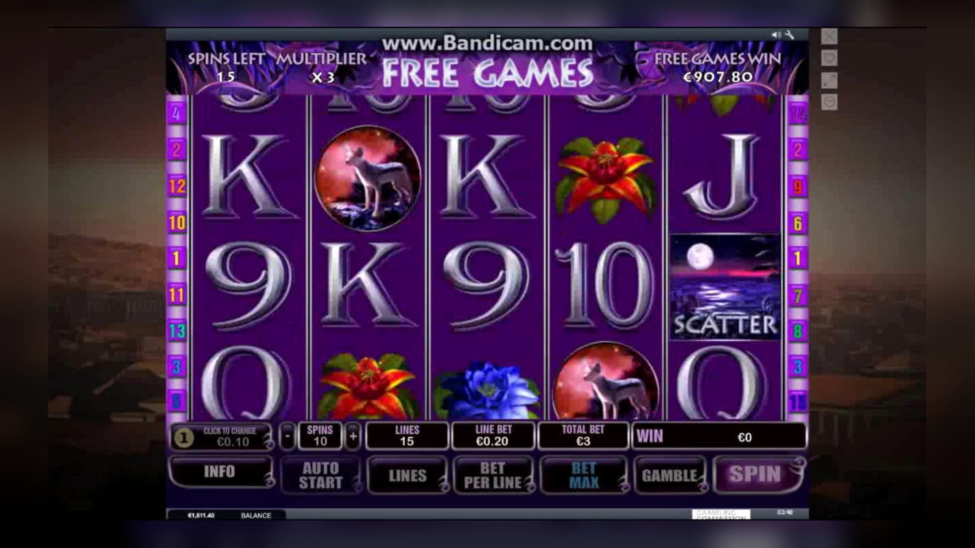 205 FREE Spins at Nordi Casino