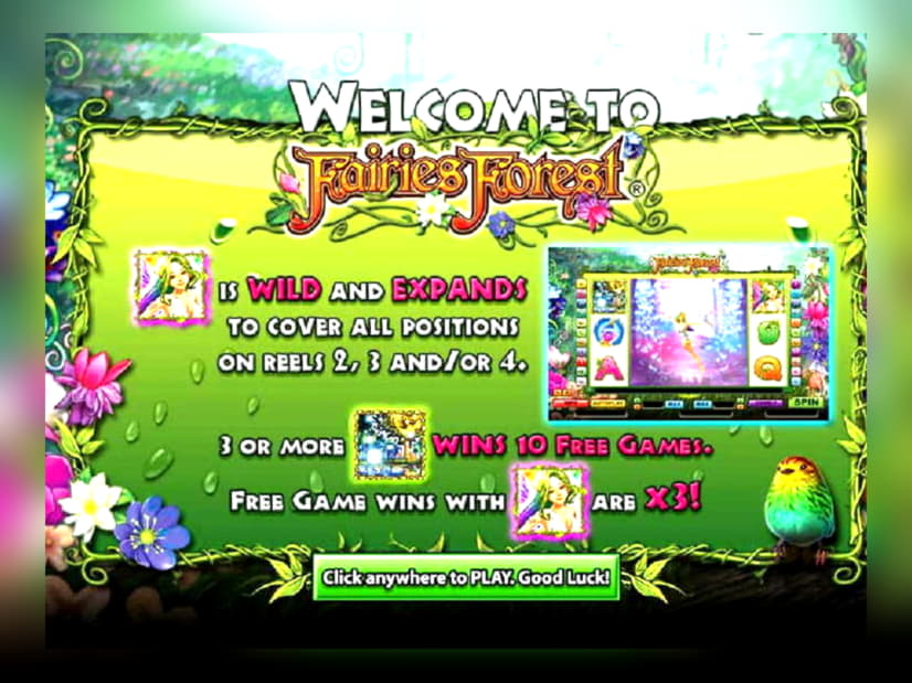 830% Signup Casino Bonus at Rizk Casino