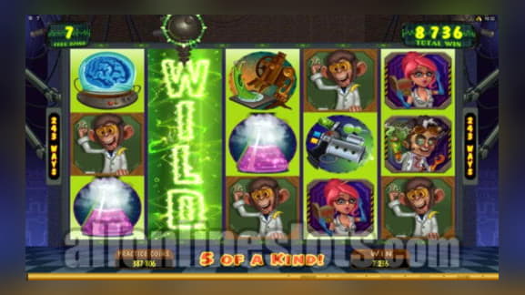 220 Free Spins Casino at Next Casino