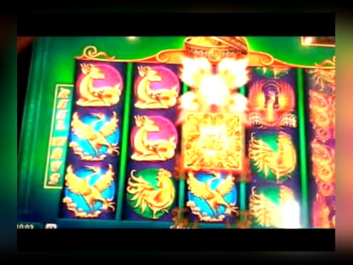 Eur 4460 NO DEPOSIT BONUS at Rizk Casino
