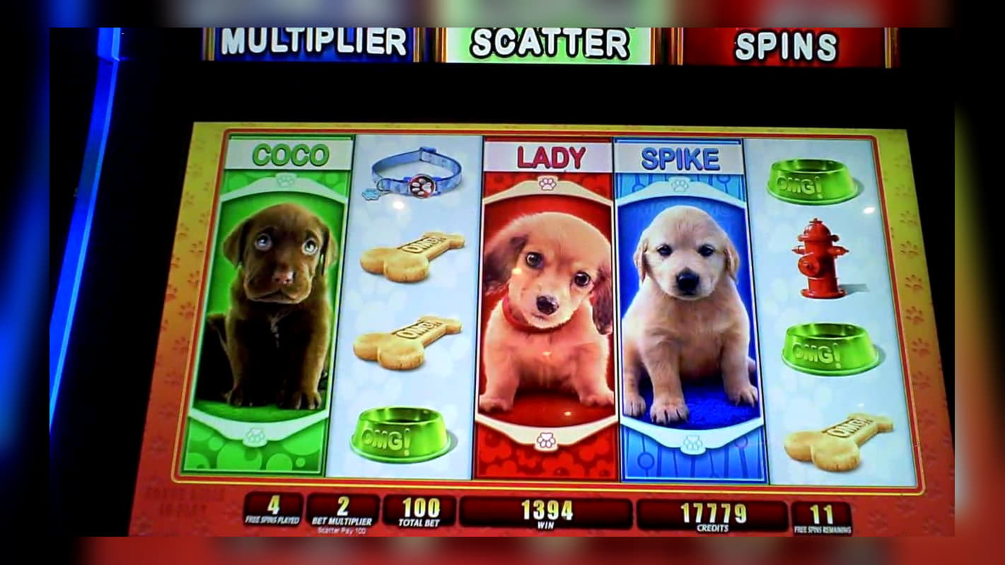 €575 Free Chip Casino at Wild Slots Casino