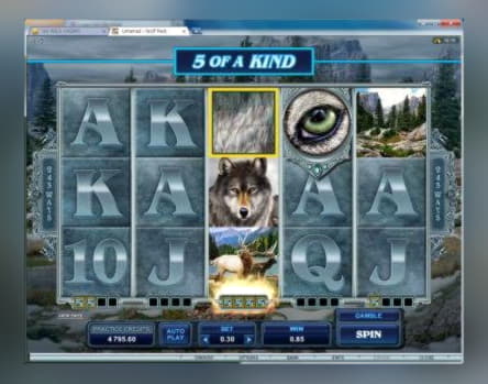 €505 Casino Tournament at Casino Luck