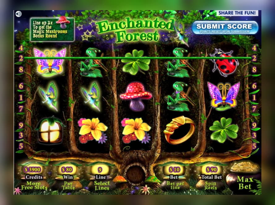 795% No Rules Bonus! at Leo Dubai Casino