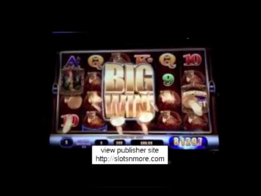 ﻿$870 NO DEPOSIT BONUS CASINO at Video Slots Casino