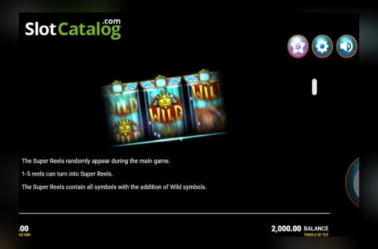 EURO 365 Free Casino Chip at Nordi Casino