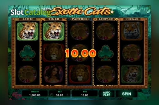 €225 free chip casino at Nordi Casino