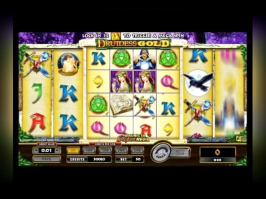 EURO 4720 No deposit bonus at Wild Slots Casino