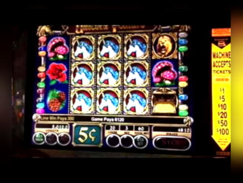 755% Match Bonus at Betway Casino