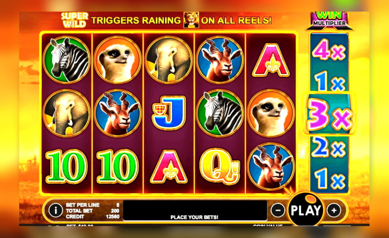 240% Match Bonus at Casino com