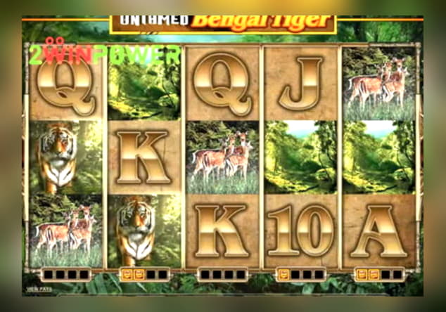 €255 Mobile freeroll slot tournament at Dunder Casino