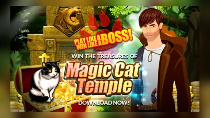 €560 Daily freeroll slot tournament at Wild Slots Casino