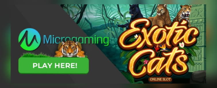 £625 No deposit bonus at Holland Online Casino