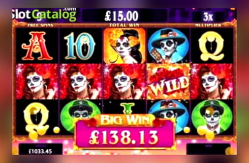 77 Free Spins right now at Next Casino