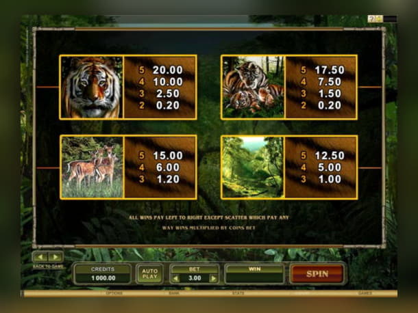 ﻿$120 Free Casino Chip at Dunder Casino