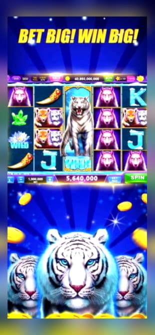 EURO 645 Casino chip at King Billy Casino