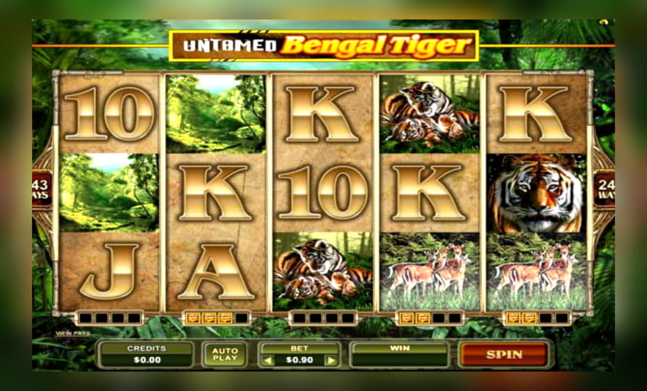 410% Best signup bonus casino at Frank and Fred Casino
