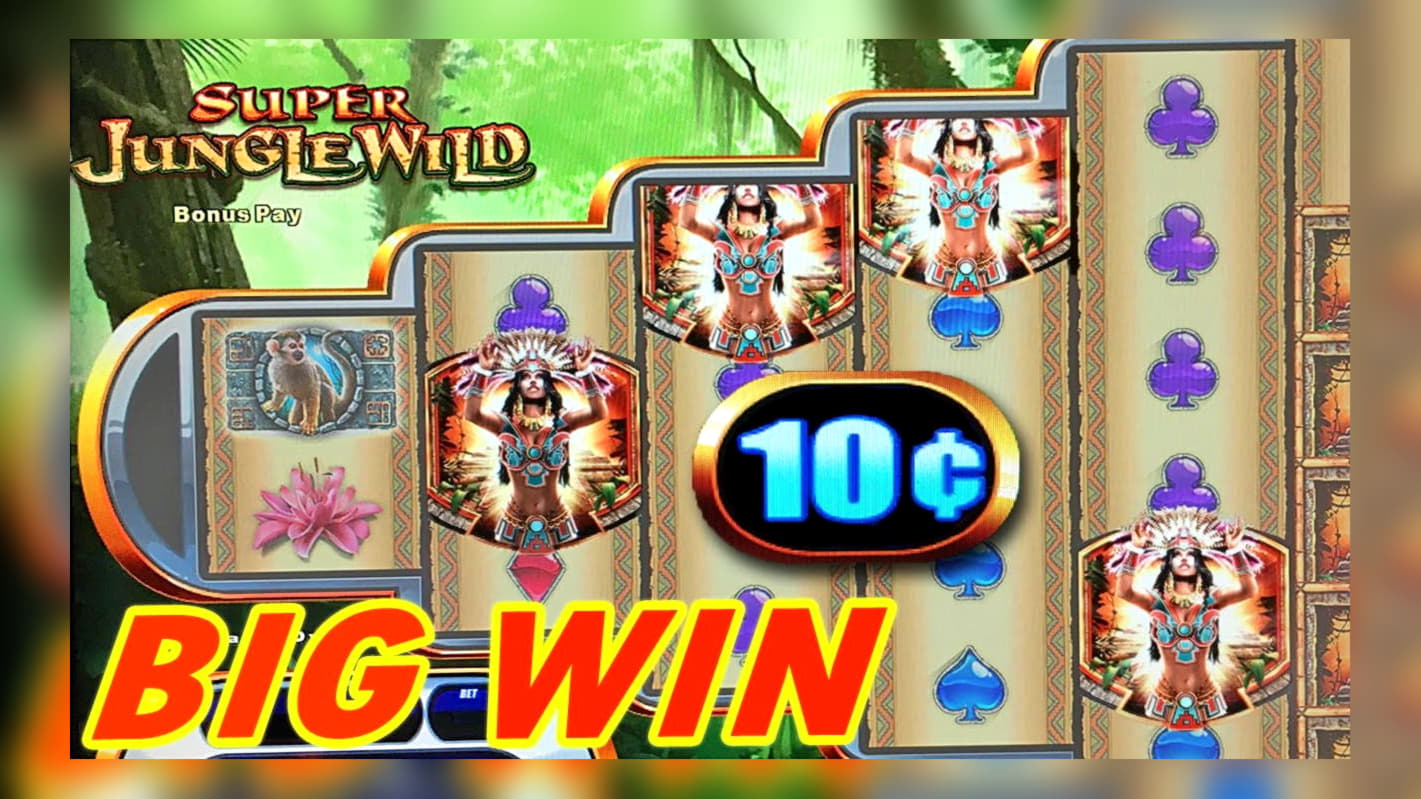 $310 Daily freeroll slot tournament at Next Casino