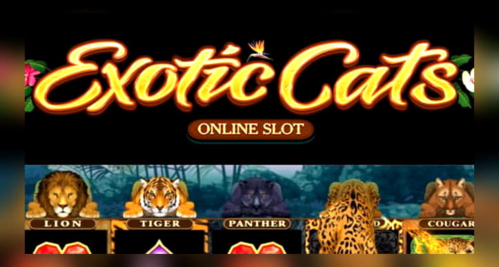 €170 FREE Chip at William Hill Casino