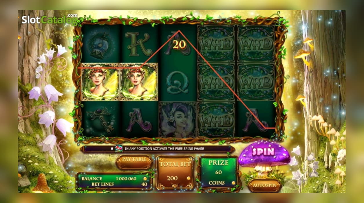 €60 Casino Tournament at Casino Luck