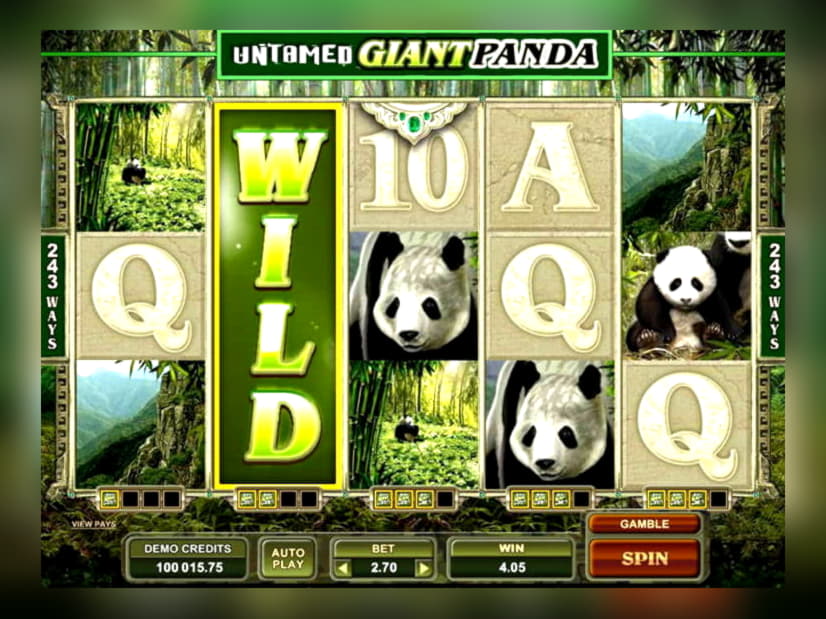 295 Free spins no deposit at Cherry Casino