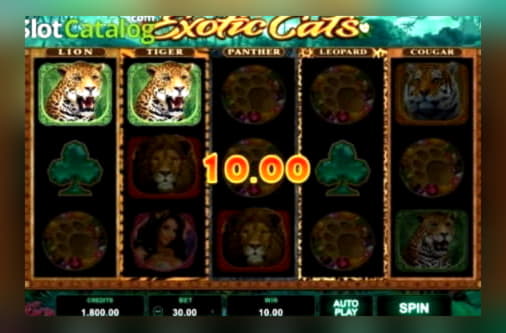 €666 Casino Tournament at Wild Slots Casino