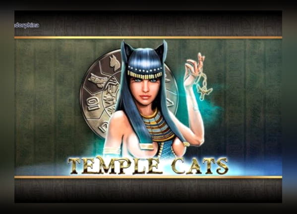 $66 Daily freeroll slot tournament at Party Casino