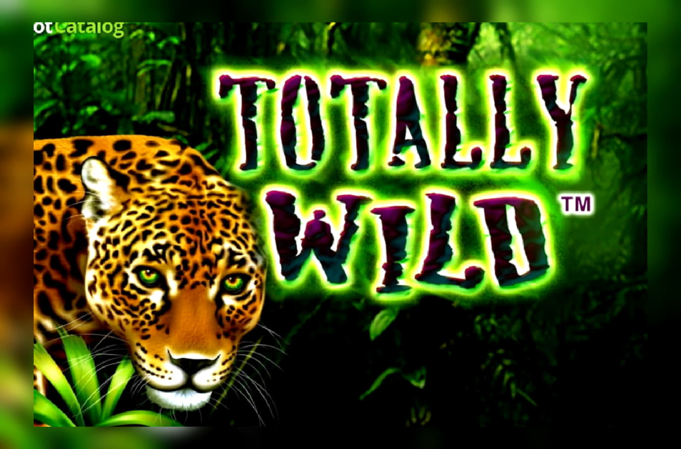 15 free spins no deposit at Spartan Slots Casino