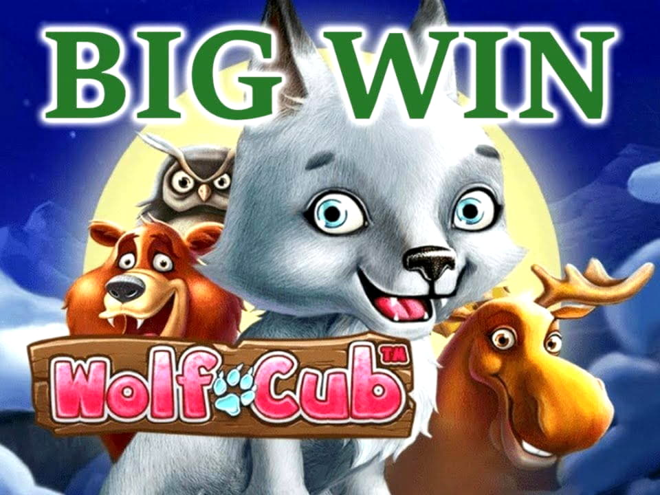 445% Match Bonus Casino at Next Casino