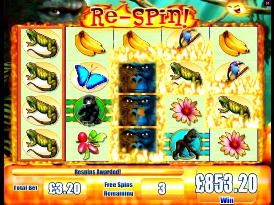 £310 Free casino chip at Next Casino