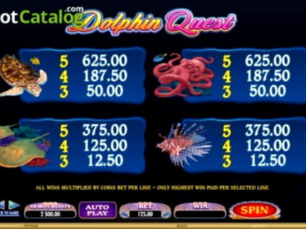 300% First Deposit Bonus at Next Casino